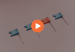 webinar nouveautés digitaleo 2020