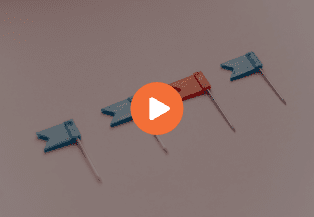 webinar nouveautés digitaleo 2020