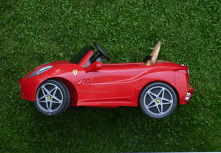 Guide GBP auto