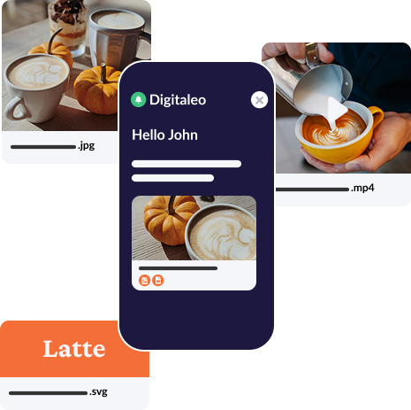 Digital asset management